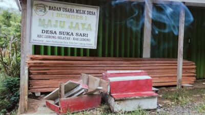 Bersikap Pesimis , Berani Menyalahi Wewenang (EJ) Pjs Kepala Desa Merasa Kebal Hukum ,