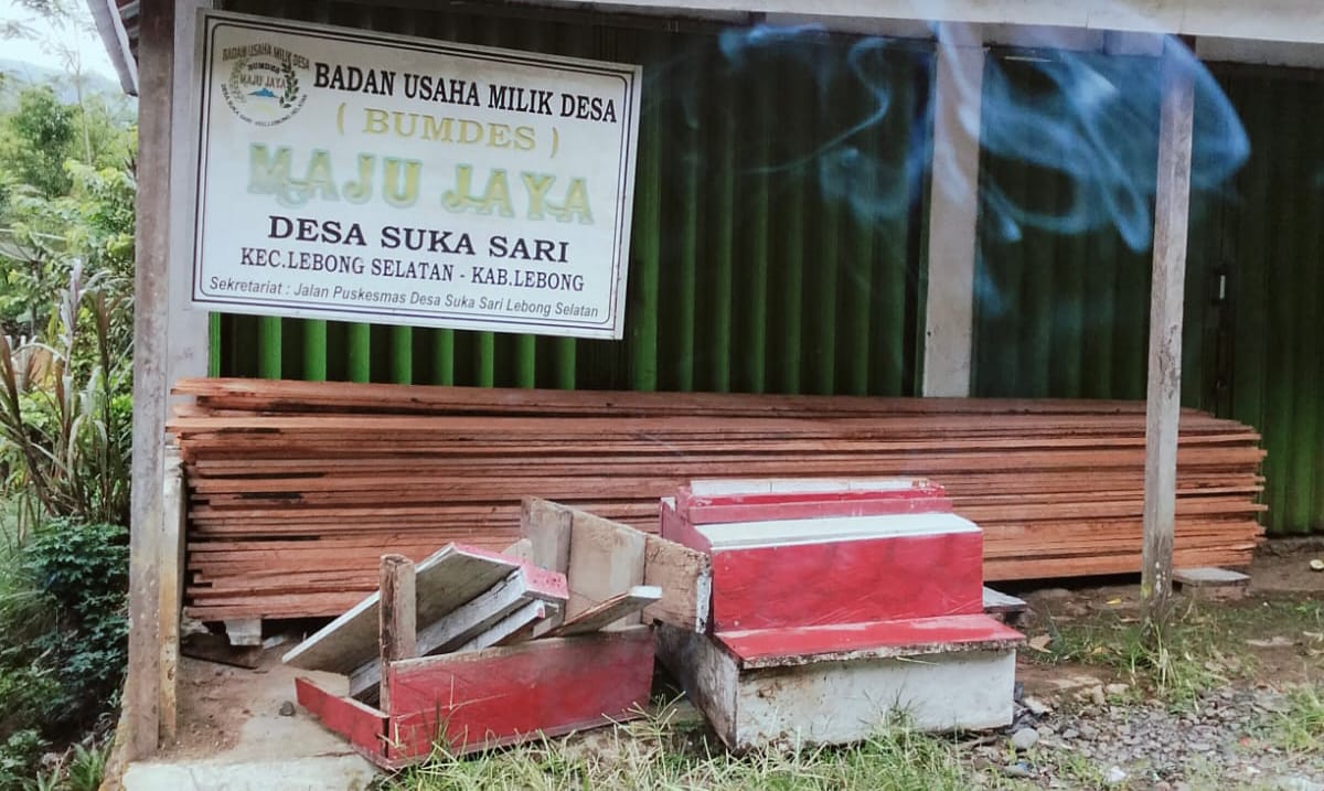 Bersikap Pesimis , Berani Menyalahi Wewenang (EJ) Pjs Kepala Desa Merasa Kebal Hukum ,