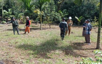 0-3248x1440-0-0-{}-0-24#